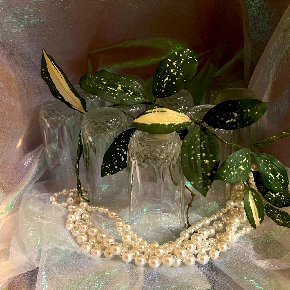 Inspired By: LONGCHAMP Cristal D’Arques Highball Glasses